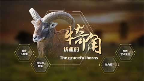 觸摸屏透明屏軟件制作開(kāi)發(fā)