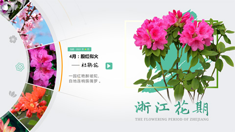 觸摸屏透明屏軟件制作開(kāi)發(fā)